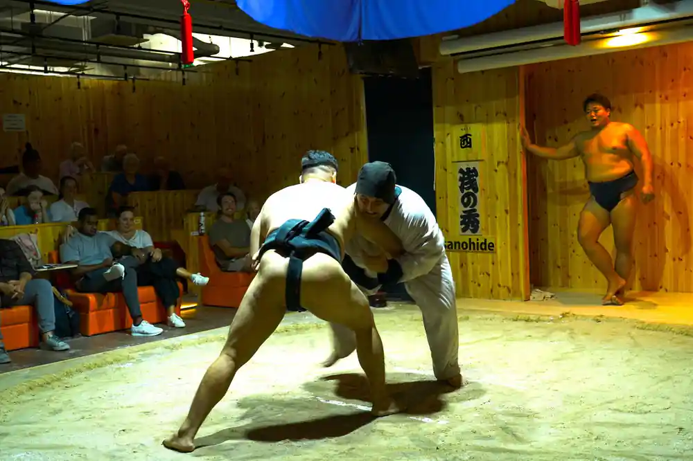 Sumo wrestlers in low stance during training grapple